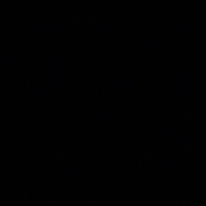 Meet your Posher, Jane